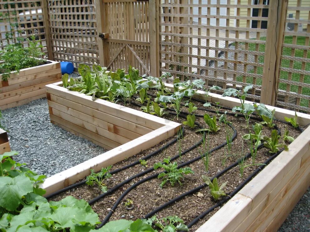 21 Raised Garden Bed Kits - Ultimate Buying Guide 2025 Decor Home Ideas Cedar ra