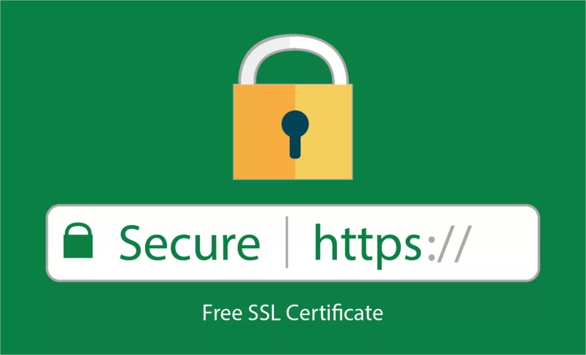 SSL Certificate. So secure.