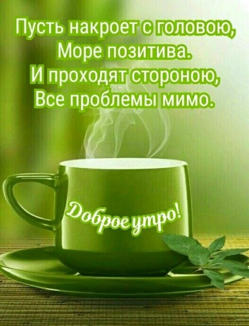 Доброго бодрого настроения. Доброе утро хорошего. чашка чая. доброго бодрого утра и хорошего дня. с добрым утром позитивные пожелания.