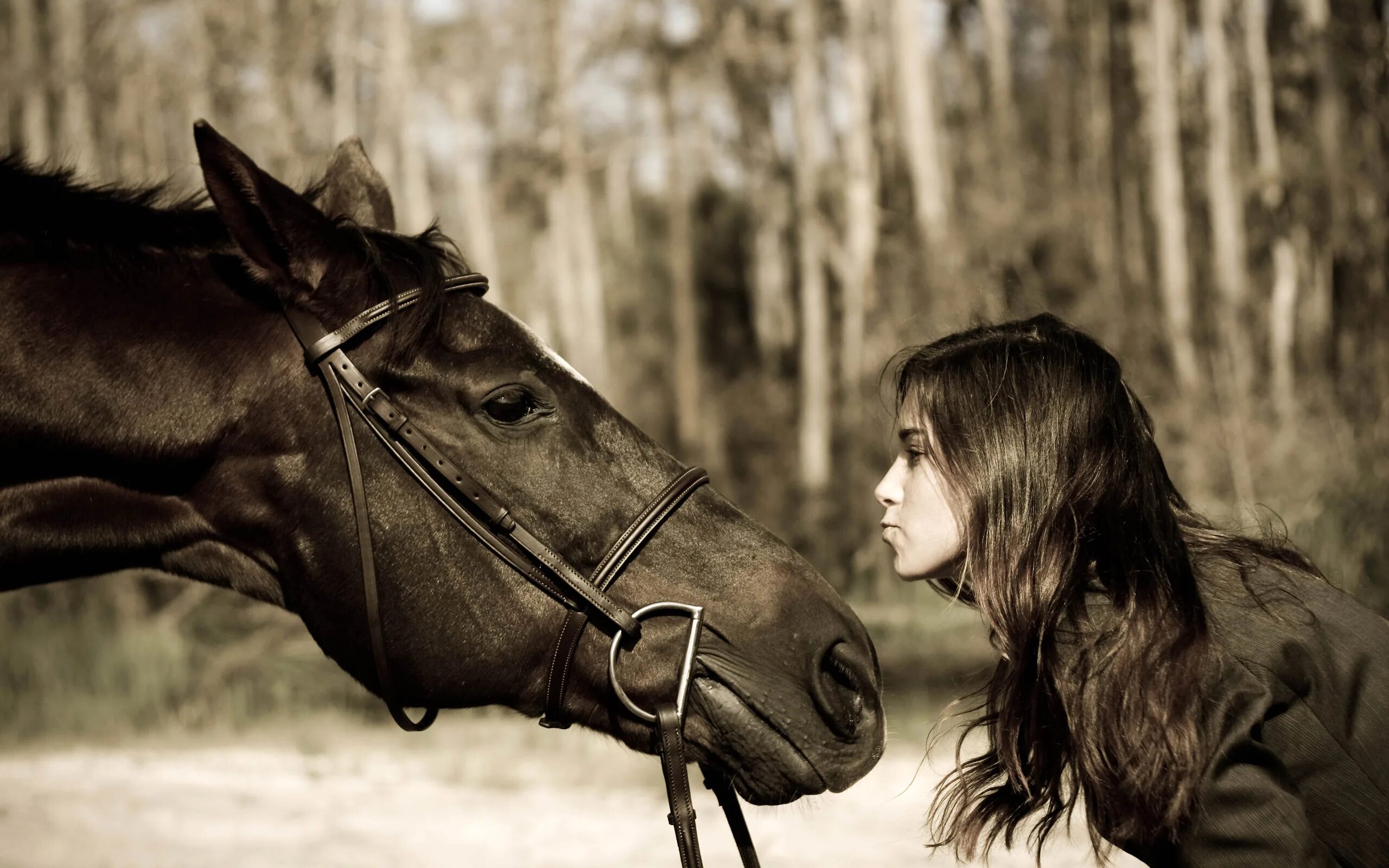 Учительница кони. Фотосессия с лошадьми. Девушка с лошадью. Красивая фотосессия с лошадью. Девушка на коне.
