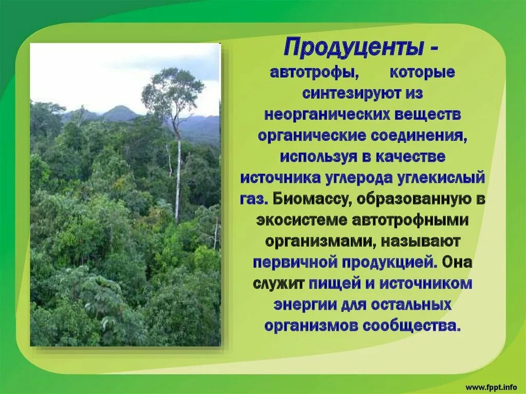 Растения являются продуцентами органических веществ. Автотрофы используют в качестве источника углерода. Автотрофные экосистемы. Автотрофы − организмы, использующие в качестве источника углерода. Автотрофы в экосистеме.