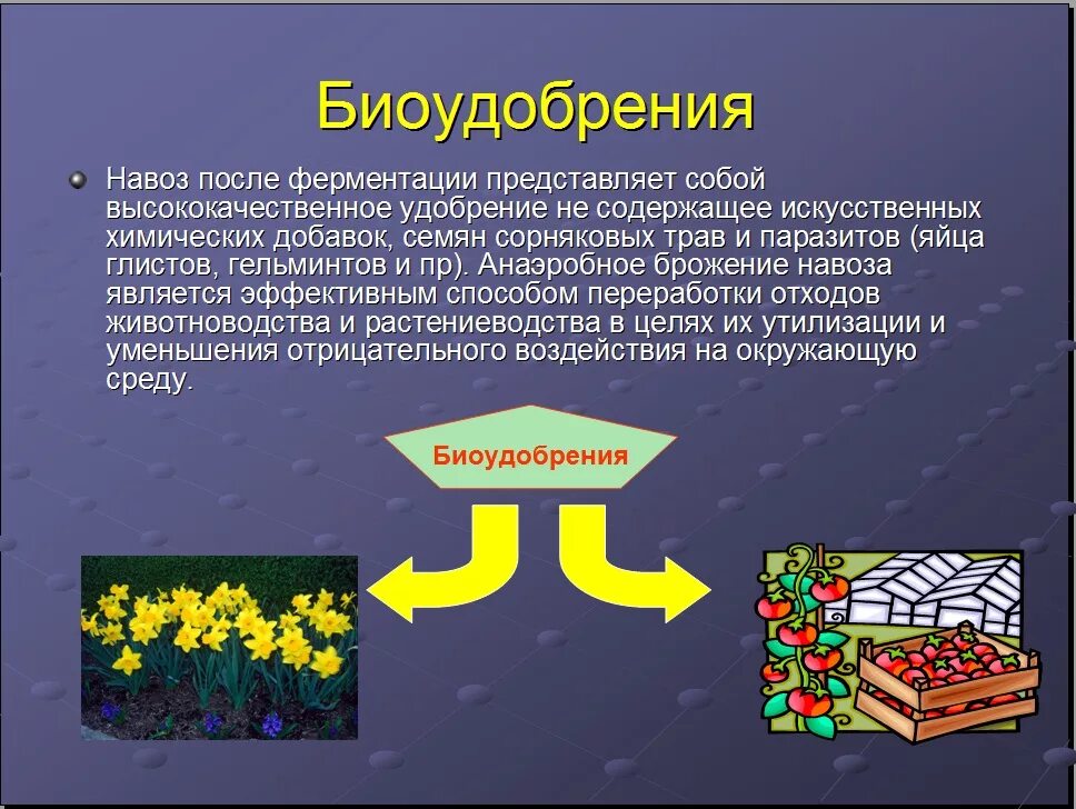 Микроудобрения содержат. Биологические удобрения. Органические и Минеральные удобрения. Схема удобрения микроудобрения. Схема получения биоудобрения.