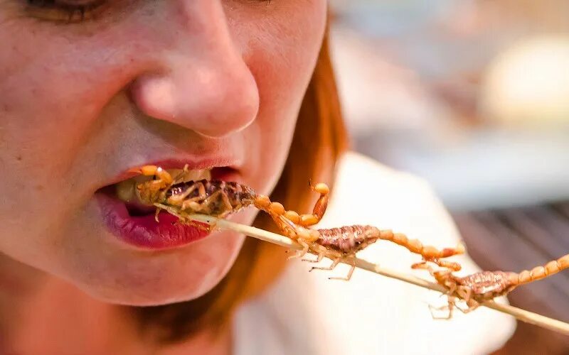 Противно есть еду. Эмоциональное переедание. Вредная еда. Человек ест булку. Противно есть еду.