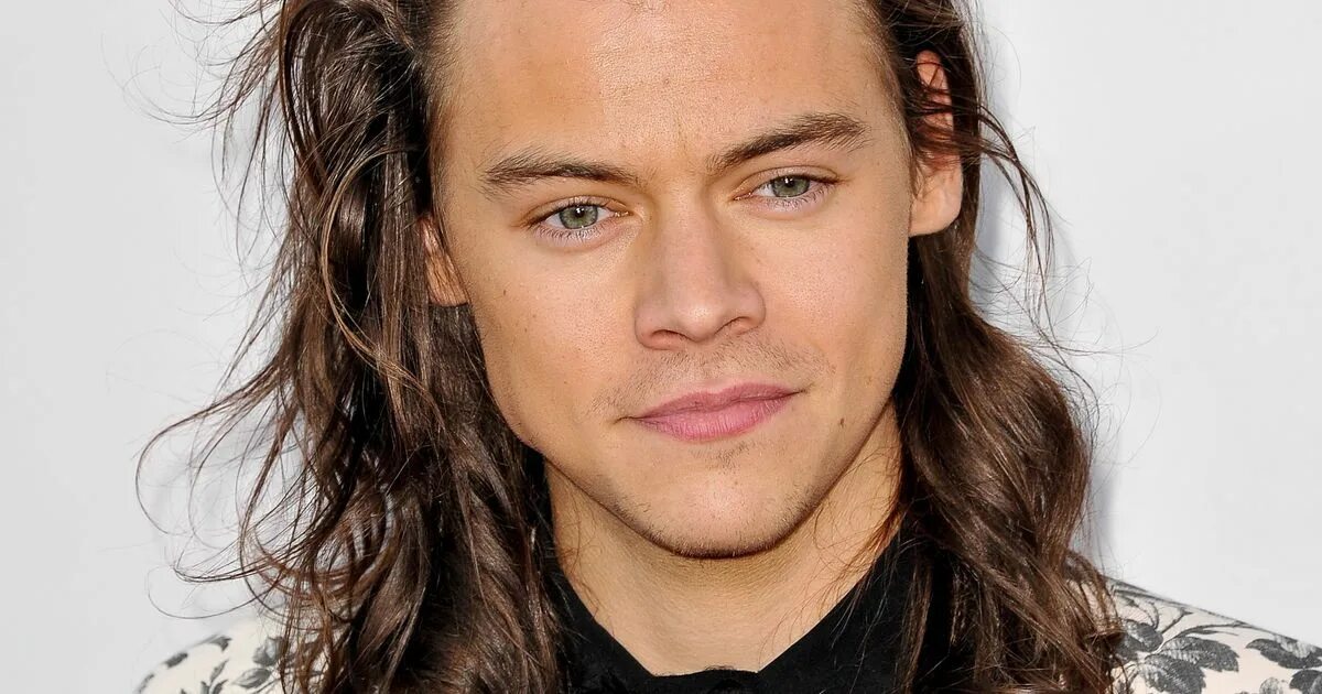 Get harry. Harry styles актер. Гарри поттер логотип. Обои на рабочий стол harry styles. Гарри поттер кастует.