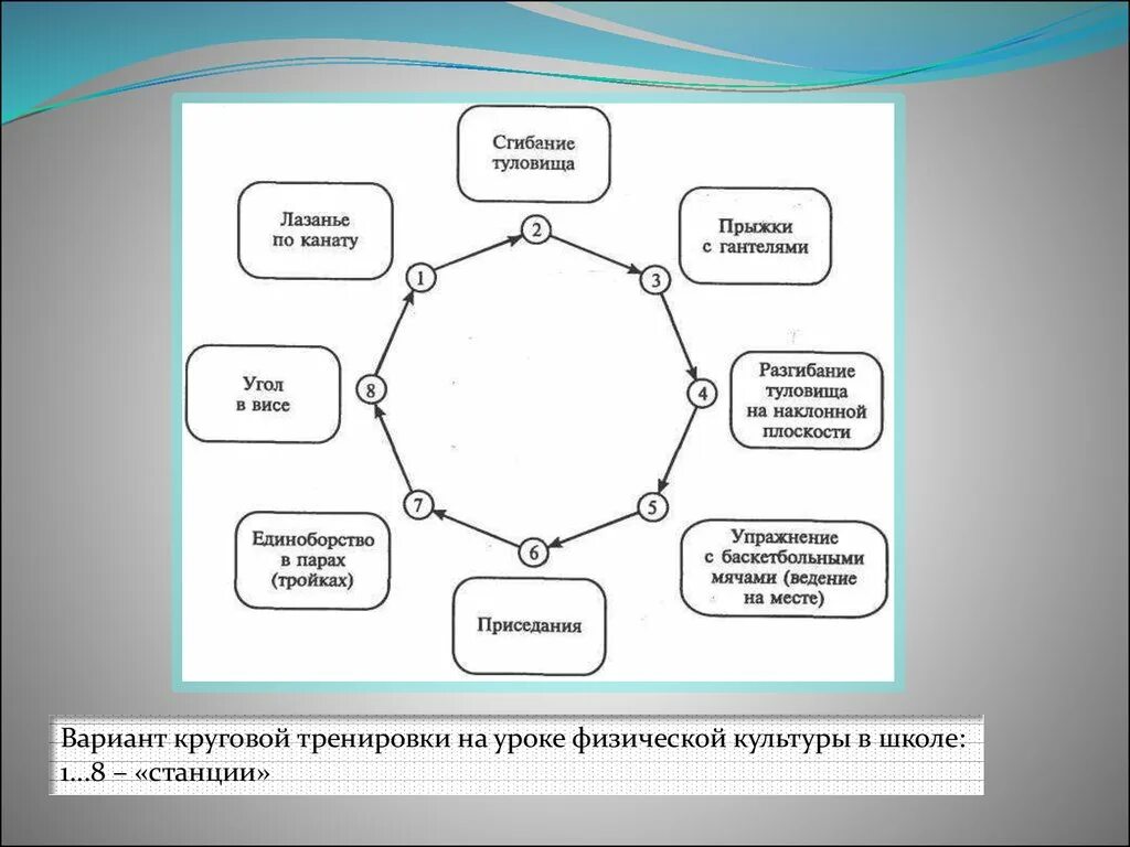 Кольцевой метод. Круговая схема. Метод круговой тренировки схема. Круговая тренировка на уроках физической культуры. Метод упражнения на уроках.