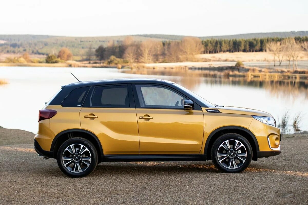 Suzuki Vitara 2019. Гранд Витара 2019. Сузуки Витара 2019 беж. Сузуки Витара 2019 просвет. Витара 2019 купить