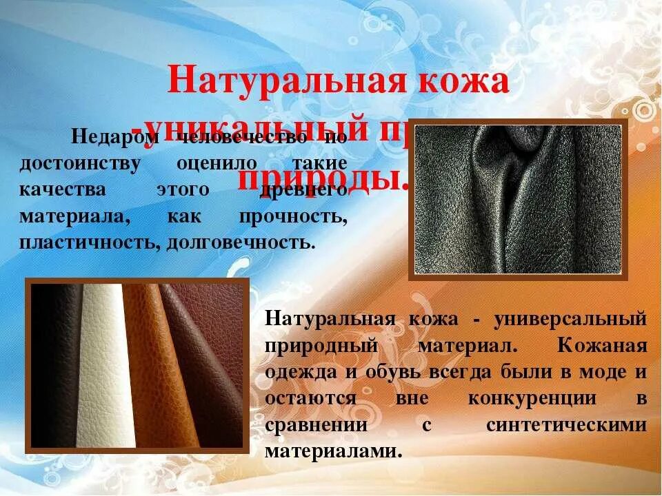 1 из видов кожи. Кожа натуральная слайд. кожа натуральная одежная. характеристика материала - кожа. виды и свойства кожи.