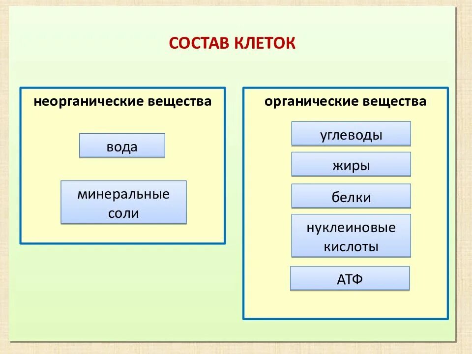 Органические вещества белки жиры углеводы. Неорганические вещества клетки углеводы. Неорганические вещества клетки жиры. Химический состав клетки. Выберите из списка неорганические вещества клетки