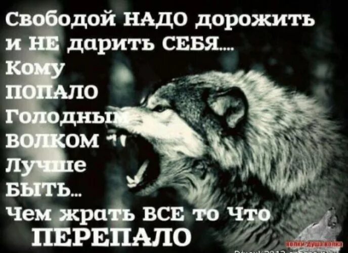 Человек которому всегда что то перепадает. Свободой надо дорожить. Одной хорошо цитаты. Лучше быть одному чем с кем попало. Свободой надо дорожить и не дарить кому попало.