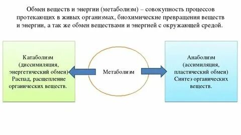 Субстанция краткий пересказ