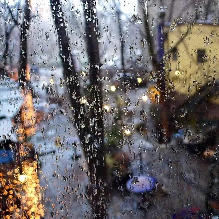 Дождь за окном. Весенний дождь. Весенний дождик. Описание пасмурного весеннего дня