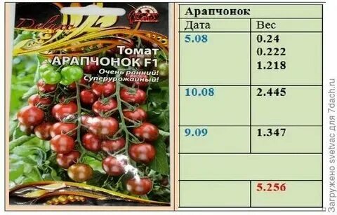 Запрещенные дни для посадки в августе 2024