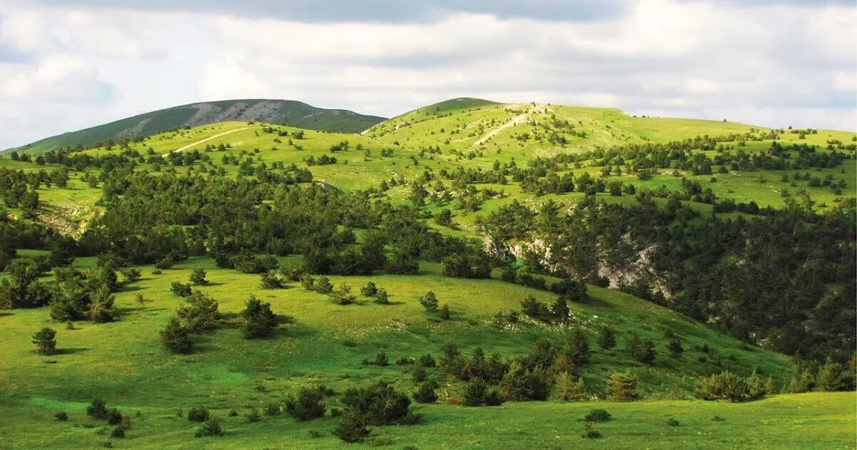 Яйла Крым. Предгорная лесостепь Крыма. Каменистый ландшафт Крыма. Ялтинская яйла. Крымские степи и крымские горы