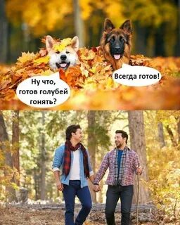 Академия юмора