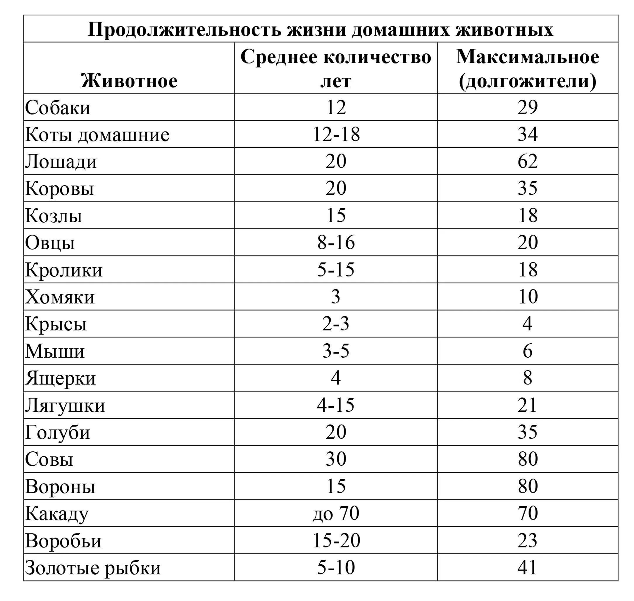 Сколько живут вариантов. Продолжительность жизни животных таблица 1. Сколько лет живут животные таблица 1 класс. Средняя Продолжительность жизни животных таблица. Продолжительность жизни животных окружающий 1 класс таблица.