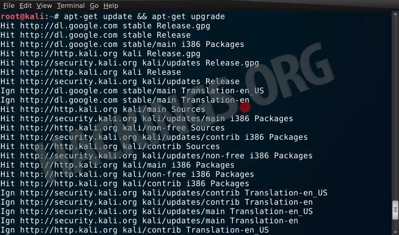 Kali area codes. Kali linux код. кали орг. менеджер дисплеев kali.