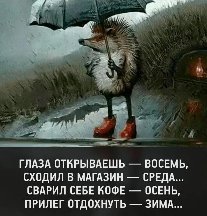 Глаза открываешь восемь сходил. Глаза открываешь восемь сходил в магазин среда. Глаза открываешь восемь. Сходил в магазин осень. Сходил в магазин осень.