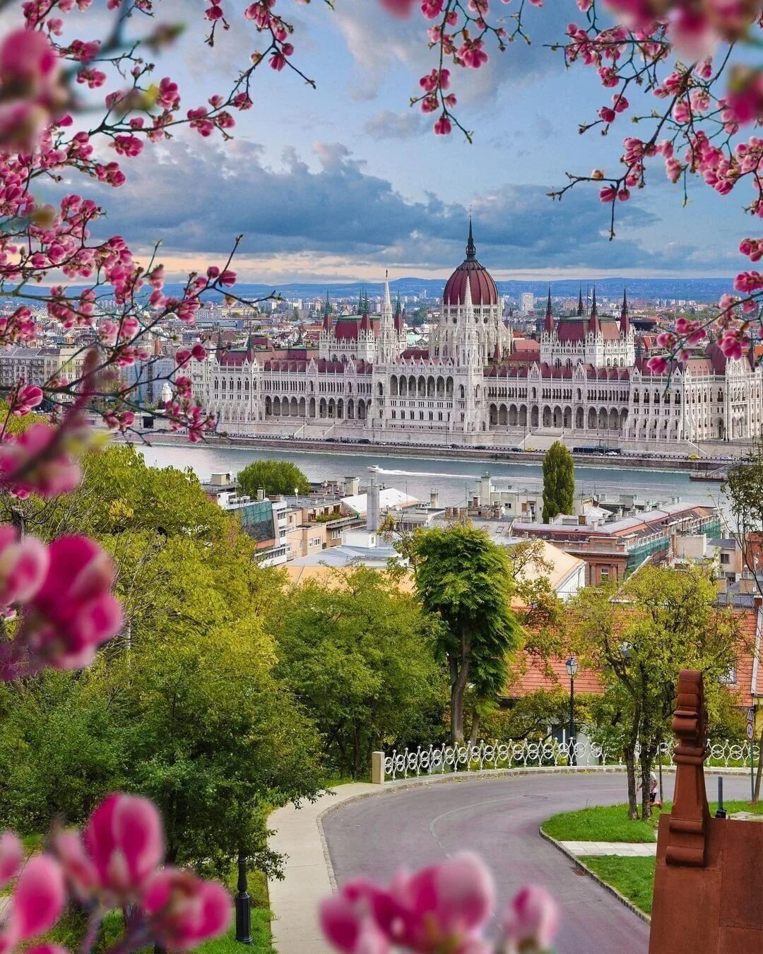 Сакура в будапеште. Сакура в будапеште. Венгрия весной. Сакура в будапеште. Парк вайдахуняд в будапеште.