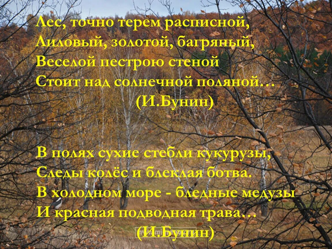 Веселой пестрою стеной. Бунин лес словно Терем расписной. Стихотворение Бунина лес словно Терем расписной. Стихотворение Бунина лес точно Терем расписной. Лес точно Терем расписной лиловый золотой багряный.