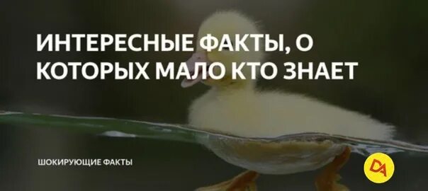 Интересные познавательные факты. Интересные исторические факты о которых мало кто знает. Факты которых не было. Интересные факты о которых мало. Самые интересные факты.