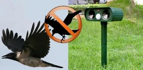 Отпугиватель галок и ворон