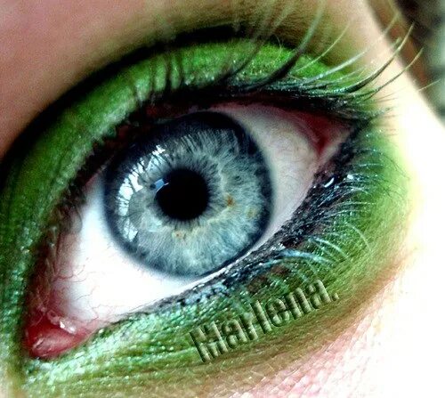 Глаза хамелеоны у человека. Зеленые глаза хамелеоны. Зеленый цвет глаз и хамелеон. Глаза хамелеон у девушек. Глаза хамелеоны у человека зеленый.