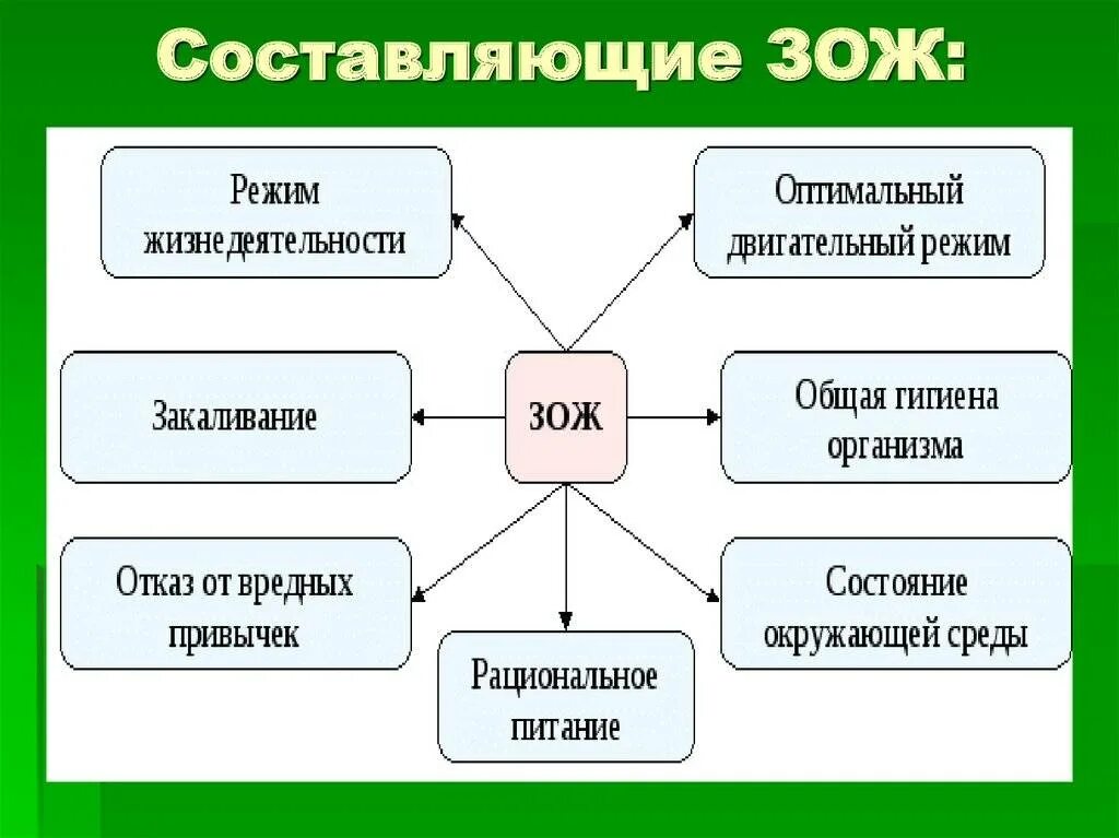 Перечислите основные жизненные