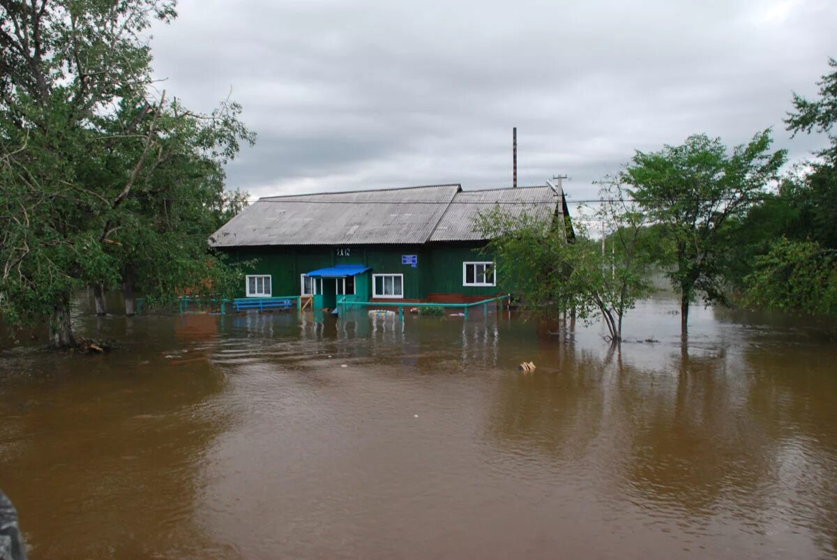 Погода хвойный амурская