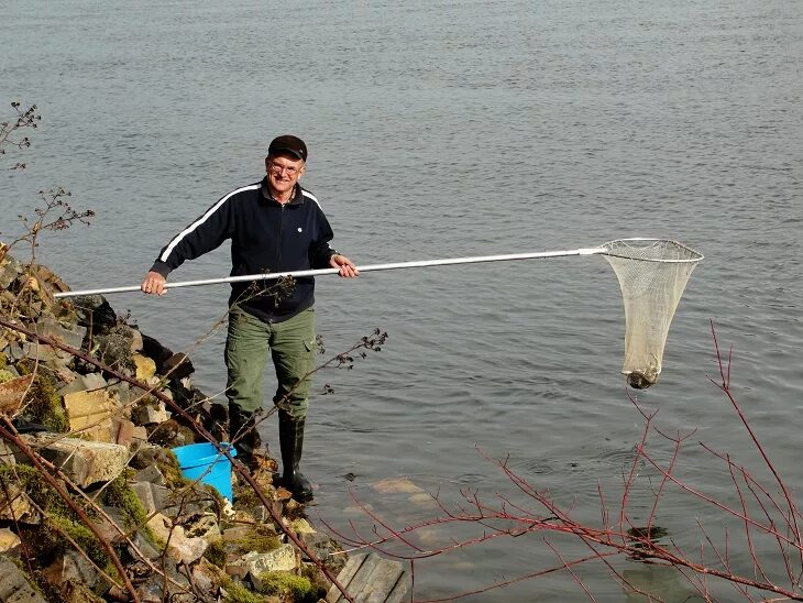 Ловить рыбу в чистой воде во сне. Сачок для корюшки. Сачок для ловли рыбы. Ловля сачком. Сачок для ловли корюшки.