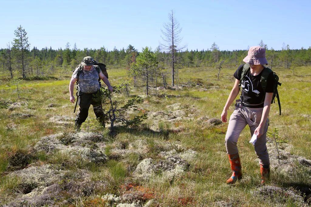 прогулка по болоту. движение по болотам в туризме. болотный туризм. ходьба по болоту. туризм болото.