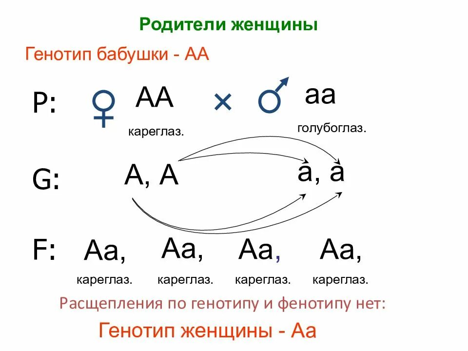 Родители аа аа