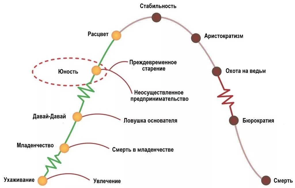 Книга жизненные циклы. Жизненный цикл организации по Адизесу. Этапы жизненного цикла компании по Адизесу. Этапы развития организации Адизес. Адизес Ицхак стадии жизненного цикла.