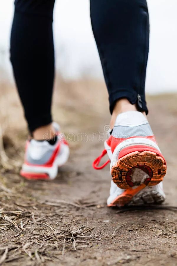 Make run