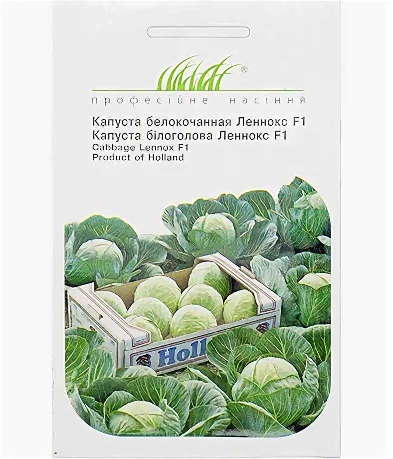 Капуста сорт леннокс. Капуста сорт леннокс