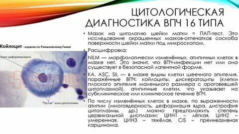Соскоб папилломы