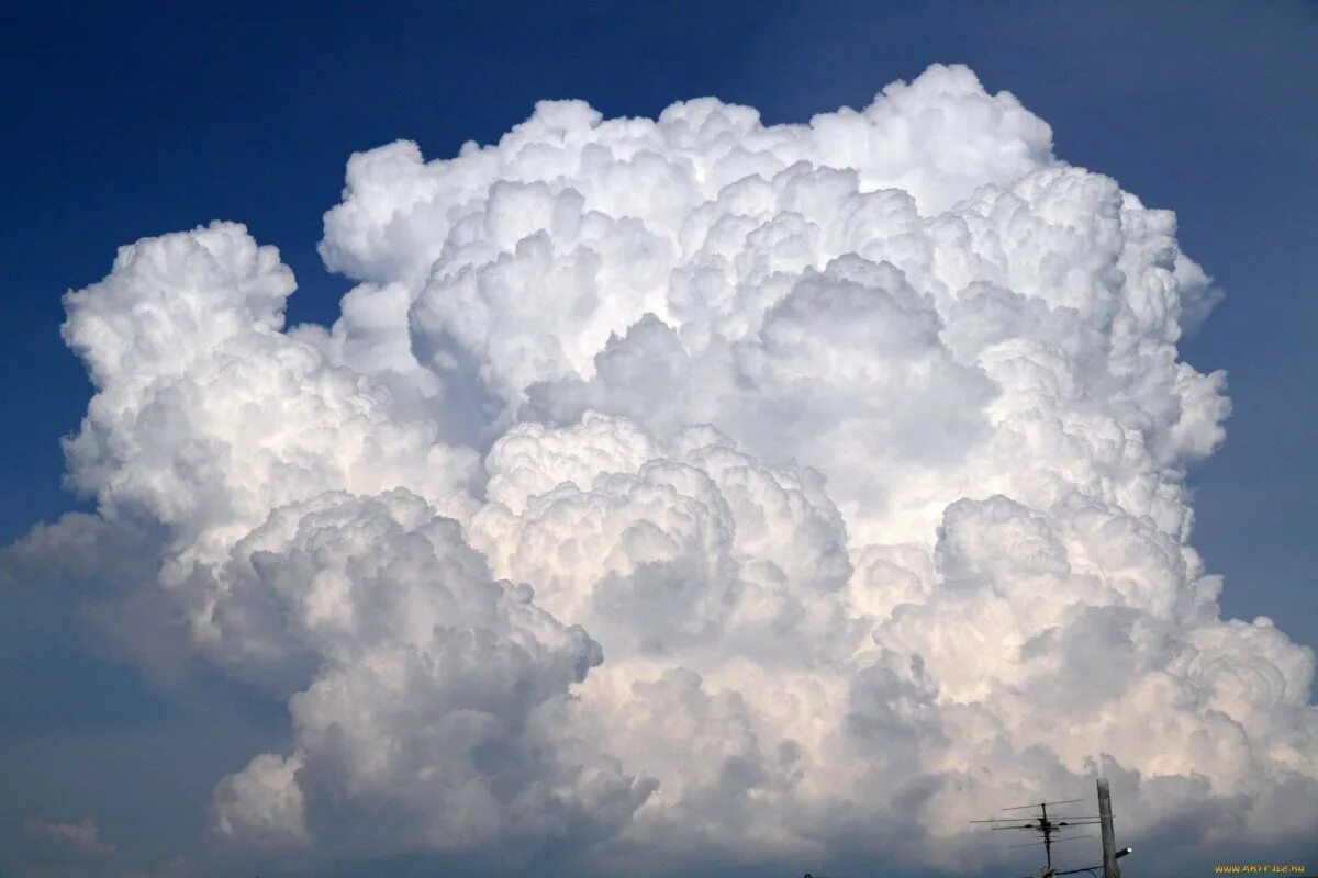 В городе белых облаков. Башенкообразные Кучевые облака. Облака Кучевые пушистые. Красивые облака.