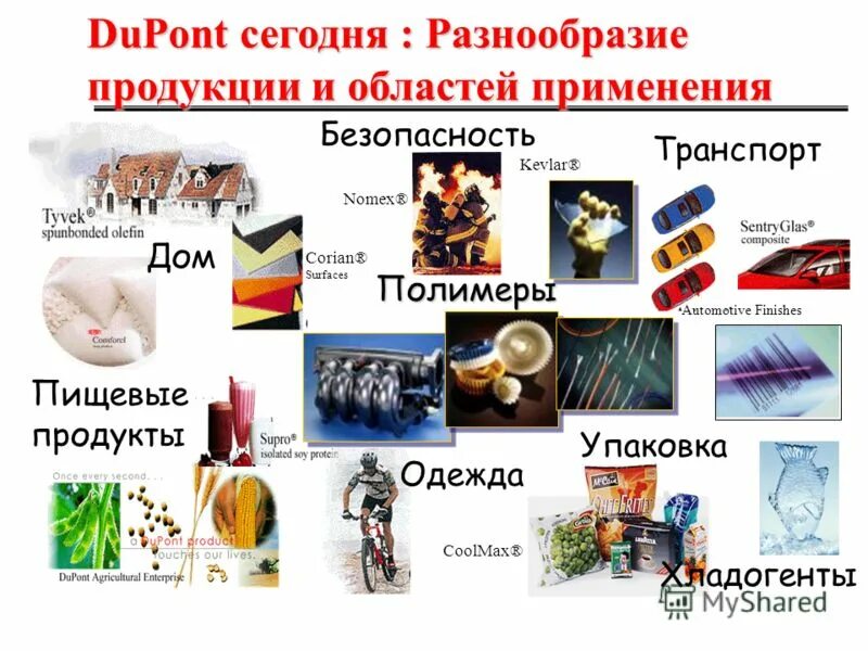 Разнообразие товаров. Продукты и область применения стекла. разнообразие товаров 11 букв. фирма дюпон что производят список товаров. текст о наличии товара разнообразие.