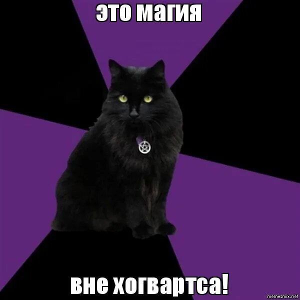 Мемы про магию вне хогвартса. Использую магию вне хогвартса. Магия вне хогвартса учитель. Нельзя колдовать вне хогвартса. Мемы про магию вне хогвартса.