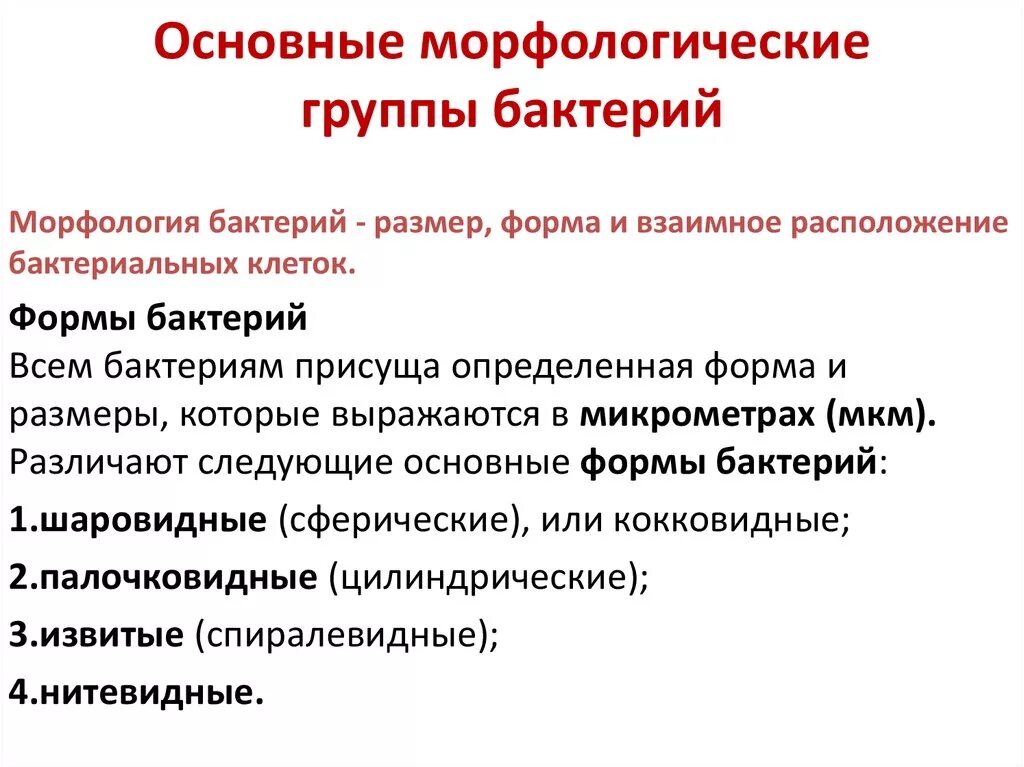 Общие свойства бактерий. Основные морфологические признаки бактерий. Основные морфологические свойства бактерий. Морфологические признаки бактериальной клетки. Морфологические признаки бактерий таблица.