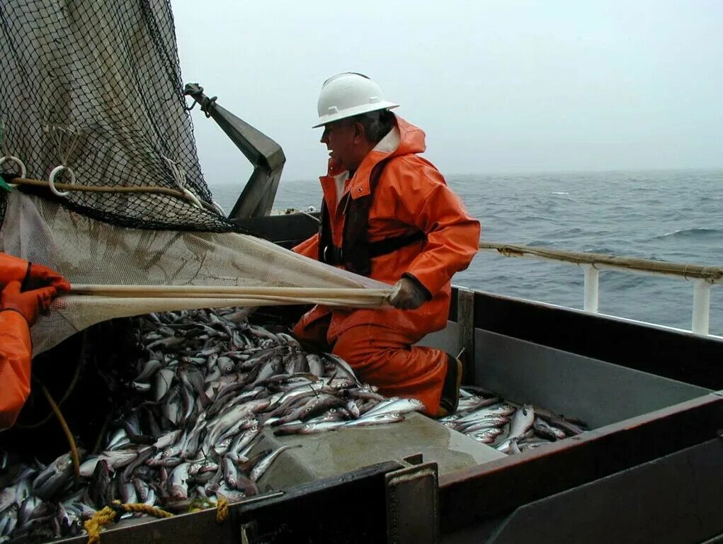 Рыболовство. Сайт рыболовства. Рыбацкие снасти. Сайт рыболовства. Рыбный промысел.
