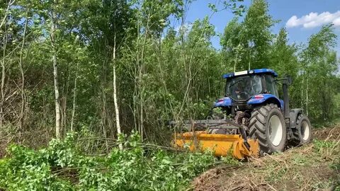 Трактория