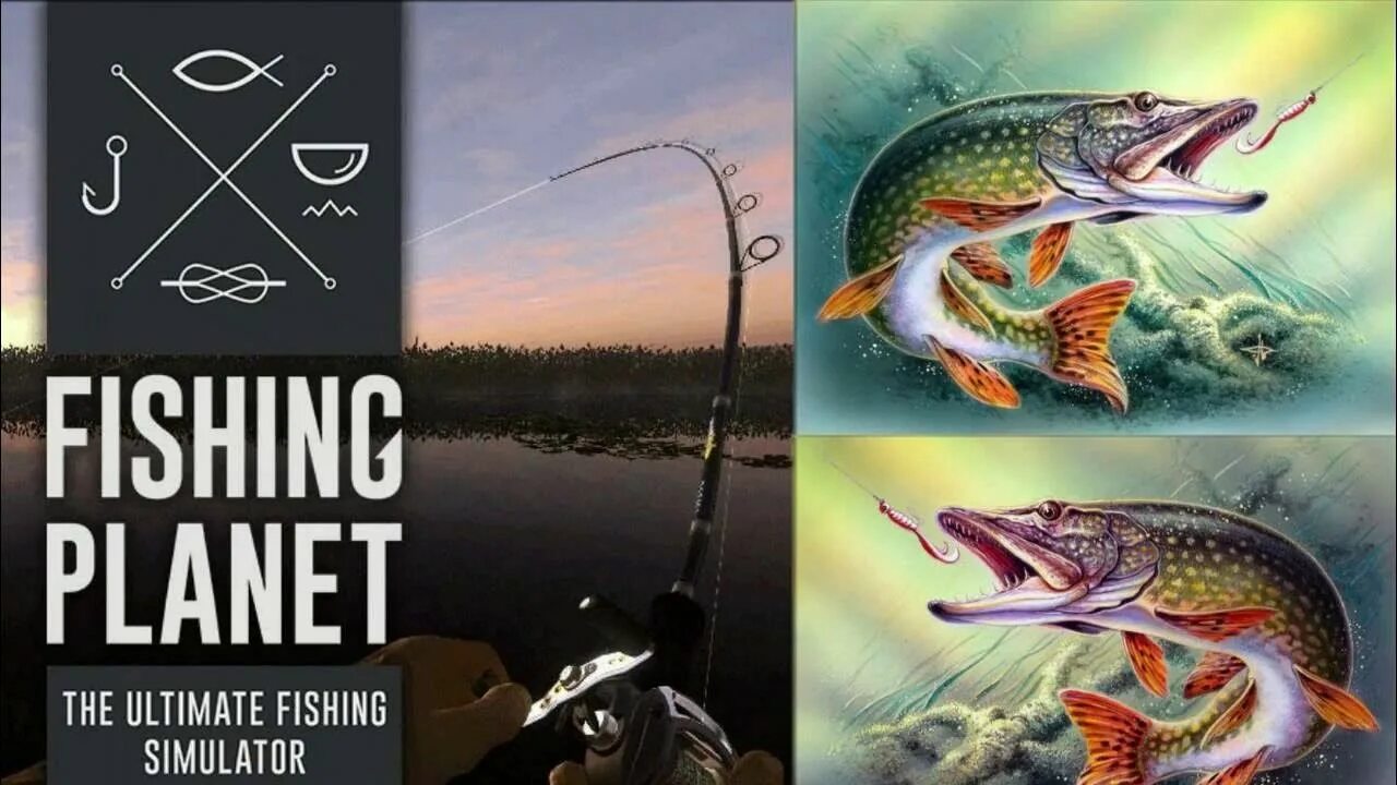 Fishing planet мадвотер. Fishing Planet снасти. Fishing Planet стрим. Травяная щука Fishing Planet. Оливковый сомик Fishing Planet.