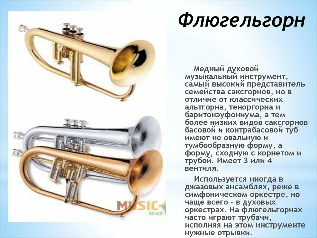 Саксофон сообщение краткое. Медные духовые музыкальные инструменты. Духовые инструменты презентация. Описание духовых инструментов. Описание духовых инструментов.