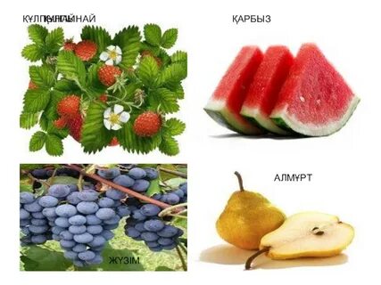 Daewoo Lanos пешінің диаграммасы