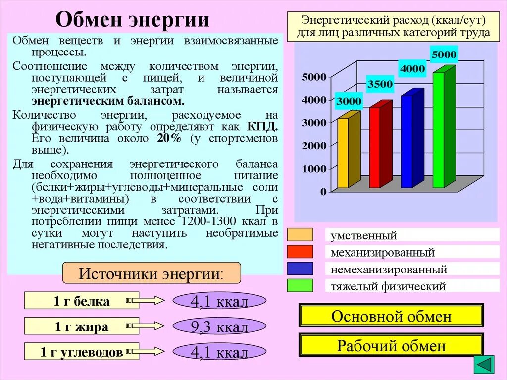 Сколько калорий расходует человек. Затраты энергии в организме. Расход энергии в организме человека. Обмен энергии в организме. Затраты энергии в организме человека.