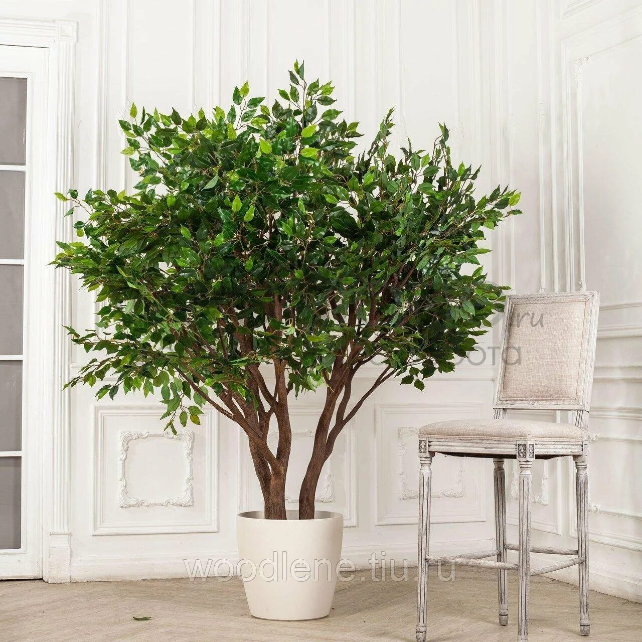 Искусственное дерево для интерьера. Искусственные кусты. Лианы на самшите. Фикус дерево. Самшит куст.