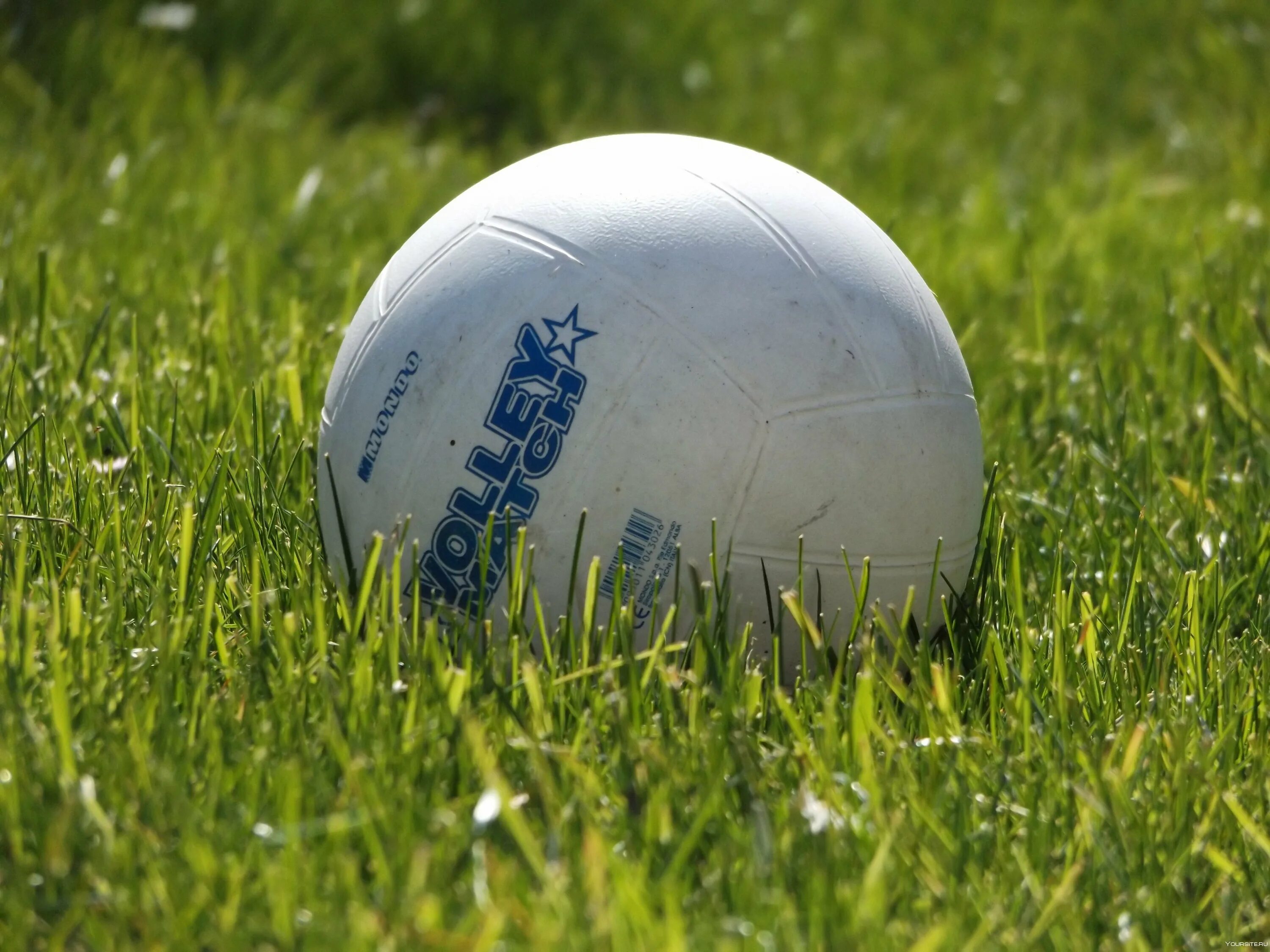 Игра мяч на траве. Мяч. Мячик на траве. Волейбольный мяч на траве. Спортивные мячи.