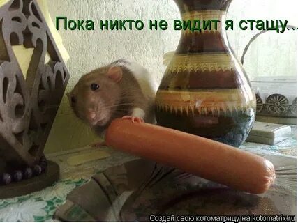 Пока никто не видит видео