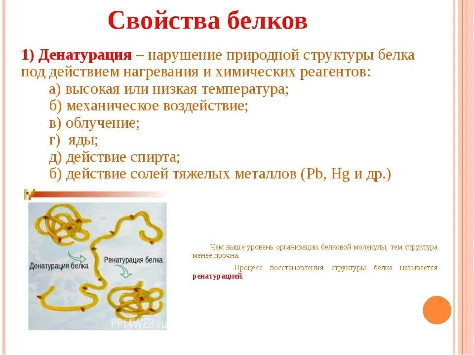 Изменения структуры белка
