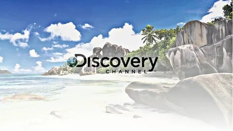 Discover videos related